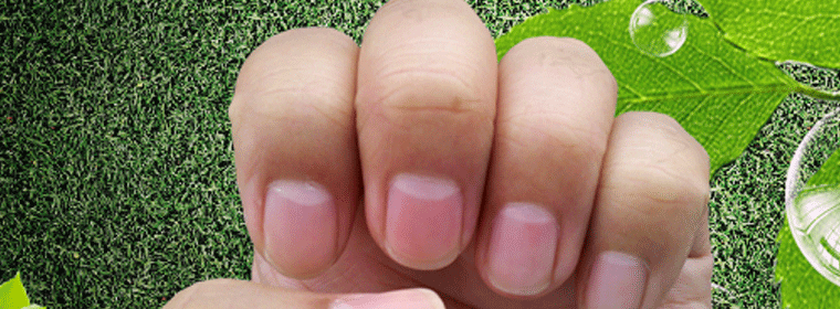 月牙多食品安全研究院